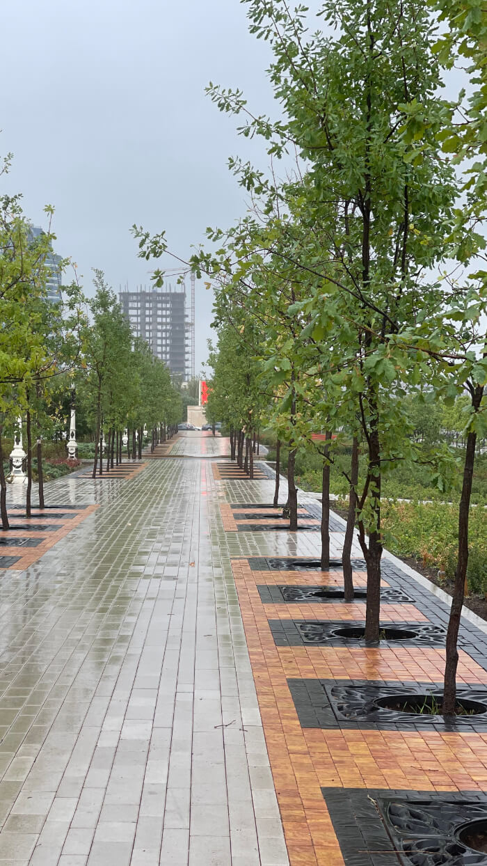 Приствольная решетка для дерева ZKING CRUST 1.2х1.2м Черная в Волгограде фото